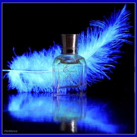 Etiquette Bleue (Eau de Toilette) - d'Orsay