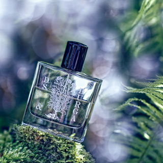 Siberian Snow - D.S. & Durga