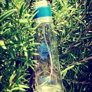 Blasé (Eau de Toilette) - Max Factor