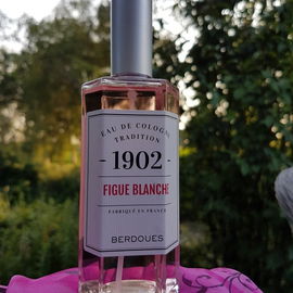 1902 - Figue Blanche - Berdoues