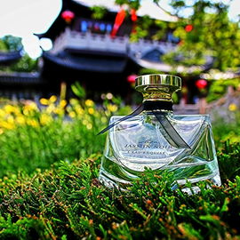 Mon Jasmin Noir L'Eau Exquise (Eau de Toilette) - Bvlgari