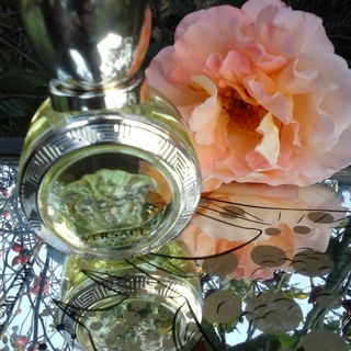 Eros pour Femme (Eau de Toilette) by Versace