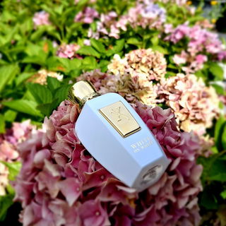 White on White - Xerjoff