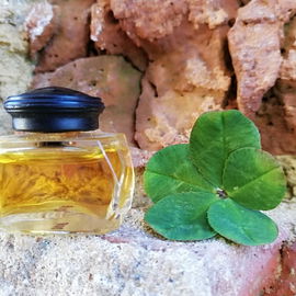 Knowing (Parfum) - Estēe Lauder