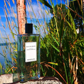 💚 Eine wunderbar herb-grüne Erfrischung im Sommer 💦🍋 Lieben Dank 💚