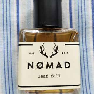 Leaf Fall by Nømad