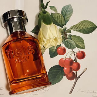 Come Il Sole von Bois 1920