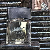 Ein erfrischender Brunnen, die warme Vanille fliesst süss und wärmend. Tolle Wirkung für kleines Geld, warum nicht? (von Zora)