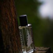 Ein kleiner Gruß aus dem tiefen Wald - vielen Dank für eure lieben Worte! (von DrHildegard)