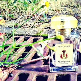 Fiori di Capri (Eau de Toilette) - Carthusia