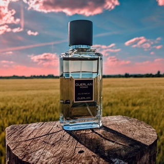 Guerlain Homme (Eau de Parfum) - Guerlain