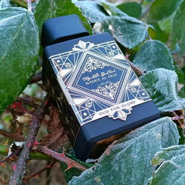 Anima Nera (Eau de Parfum) - Roberto Capucci