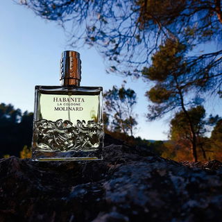 As night falls... Habanita La Cologne 🦇🦇