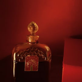 Mon Paris (Eau de Parfum) - Yves Saint Laurent