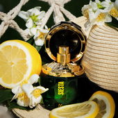 🍋 Let's have a Siesta 🍋 (by Goasbaeuerin)