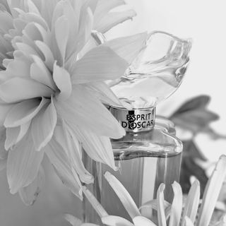 ****** d'Oscar (Eau de Parfum) von Oscar de la Renta