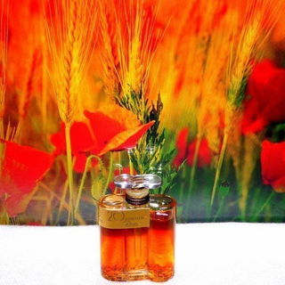 20 Ks / 20 Carats / 20 Quilates - Dana