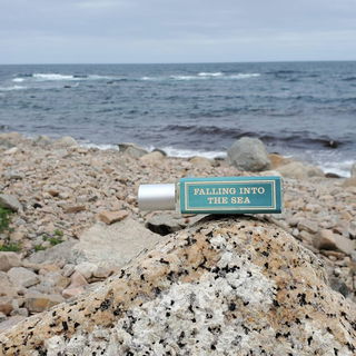 Falling into the Sea - Imaginary Authors
