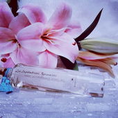 Einer meiner aktuellen Lieblingsdüfte, so zart und fein (by Gandix)