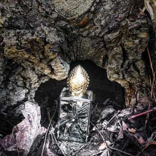 Die Spinne kriecht aus ihrer Höhle ;)