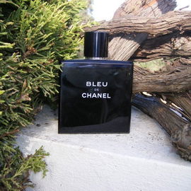Champion (Eau de Toilette) - Davidoff