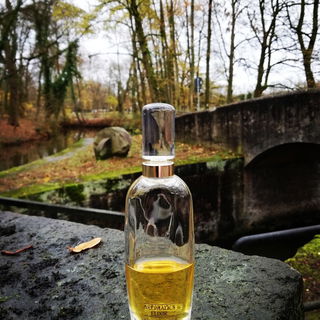 Aromatics Elixir Velvet Sheer Philtre Sensuel von Clinique