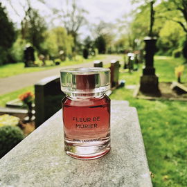 Fleur de Mûrier - Karl Lagerfeld