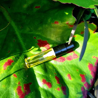 Vetiver Réunion - Urban Scents