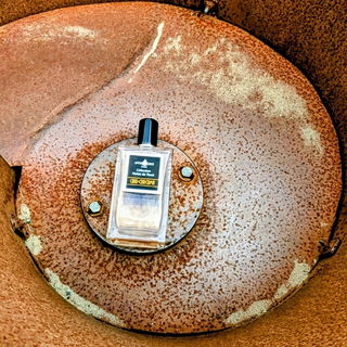 'Ich komme raus aus meinem rostigen Schneckenhaus'🧡 Danke für Eure Fotobesuche und lieben Kommentare🙏🏻🍂🦋