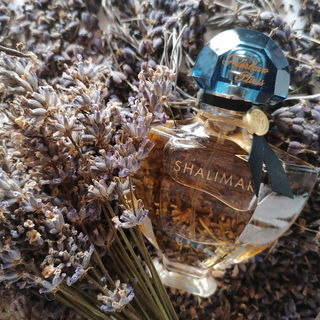 Shalimar (Eau de Parfum) von Guerlain
