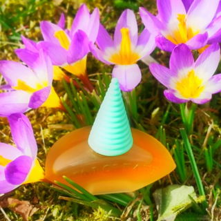 Nicht nur ein Bienenmagnet, auch ein Gandix - Magnet