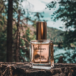 fallintostars (Eau de Parfum) - Strangelove NYC