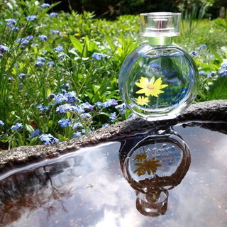 Like a Walk in the Summer Rain