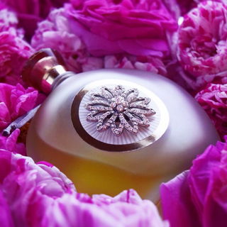 Rose de Rose - Rancé 1795
