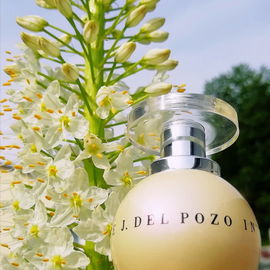 In White - Jesus del Pozo
