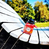 mit Twilly Farben sammeln für den Winter... vielen Dank für euren Fotobesuch und die lieben Kommentare ☀️ (by Fragilly)