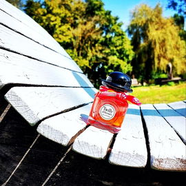 mit Twilly Farben sammeln für den Winter... vielen Dank für euren Fotobesuch und die lieben Kommentare ☀️