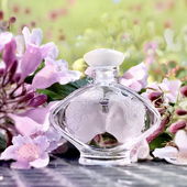 ....... Zeit der (für) Zärtlichkeit ...... ;)- (von IrisNobile)