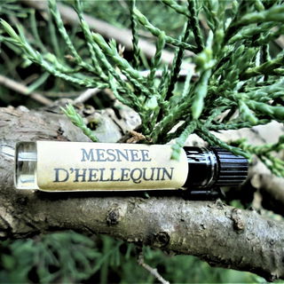 Land hinter den Minznadelspitzen