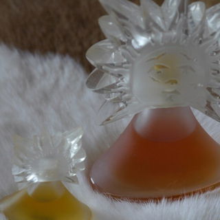 Le Roy Soleil (Eau de Toilette) von Salvador Dali