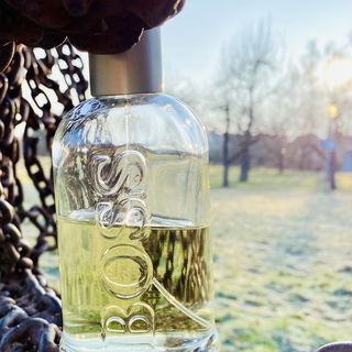 Boss Bottled (Eau de Toilette) by Hugo Boss