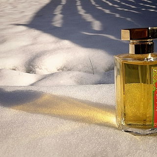 Chill winter morning...