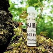 Vortriebe im Urwald (von Floyd)