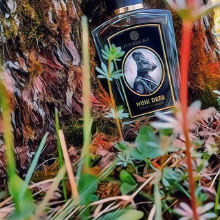 Musk Deer - Zoologist