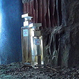 5th Avenue (Eau de Parfum) - Elizabeth Arden