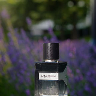 This Fragrance Friday, I was inspired by nature's beauty. On a recent walk home, I found myself appreciating some lovely lavender flowers in full bloom.  In other news, I was given YSL Y to test and photograph. It had quite a harsh life, with the bottle showing signs of being tortured in a backpack.  Even though the fragrance doesn't feature lavender, I decided to grab the opportunity. I wrote a full review on this perfume, and you're welcome to give it a read if you'd like to know my thoughts. :)   IG: kolinmarchand