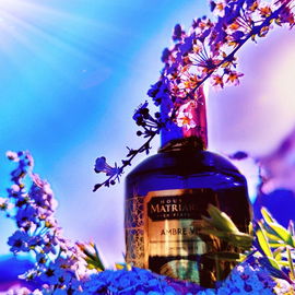 Ambre Vie - House of Matriarch