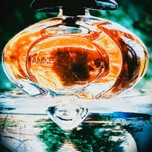 Anne macht ne Ansage (von Skydiver19)