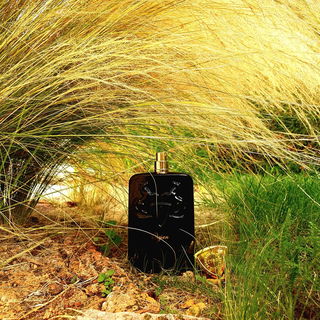 Oajan - Parfums de Marly