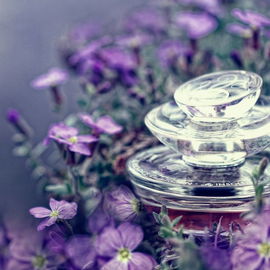 My Insolence - Guerlain